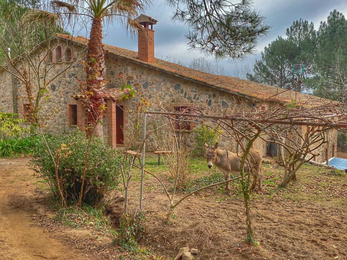 Masia Can Janet Arbucies Exterior photo